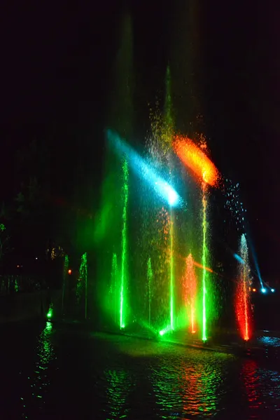 DSC_7049 (Large).JPG